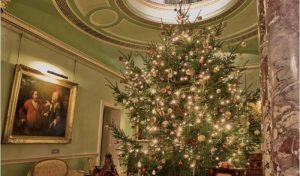 christmas tree